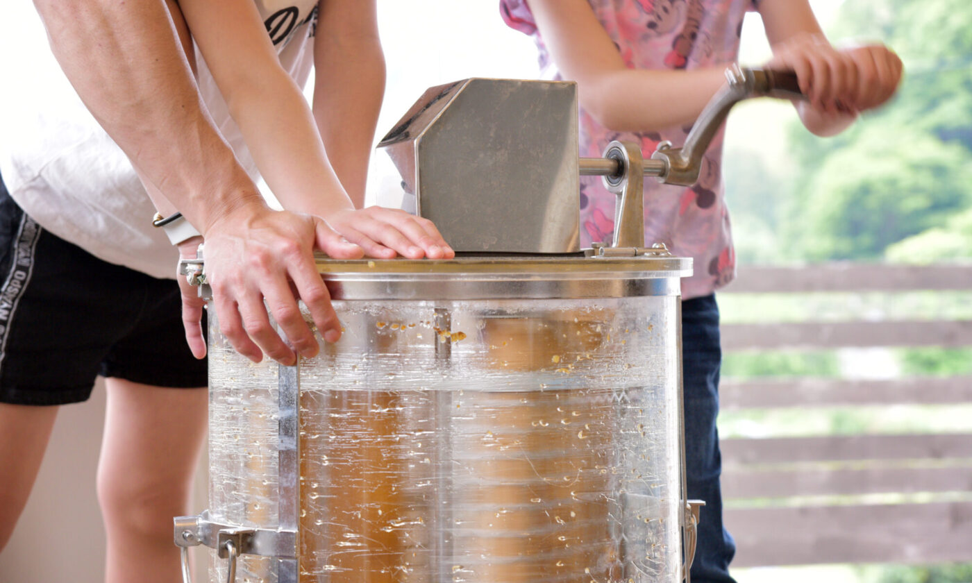 はちみつ採取体験