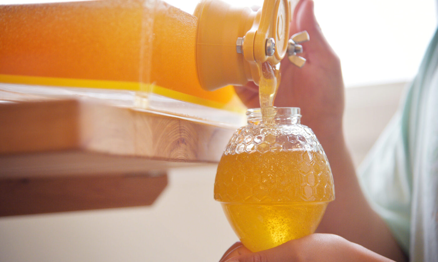 はちみつ採取体験